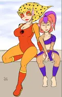 artist:lc cheetara thundercats wilykit // 1368x2160 // 224KB