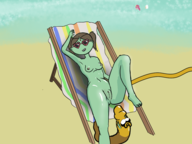 adventure_time doctor_princess finn_mertens jake_the_dog nude princess_bubblegum // 1920x1440 // 1.2MB