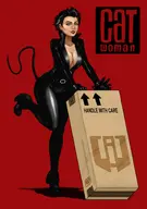 artist:hawkgirl catwoman dc selina_kyle // 1090x1554 // 378KB