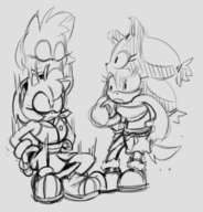 amy_rose artist:yoto sonic_boom sonic_the_hedgehog_(series) sticks_the_badger // 769x804 // 375KB