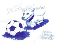 blue_lantern dc hope_corgi lantern_corps // 735x564 // 123KB