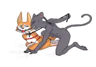 bondage meika nude rimba_racer tamira // 1000x695 // 256KB