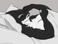 dc orca // 1457x1118 // 389KB