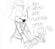 blaze_the_cat cream_the_rabbit shroak sonic_the_hedgehog_(series) // 851x757 // 210KB