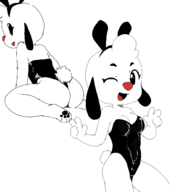 leila_barker playboy_bunny playkids // 1000x1000 // 24KB