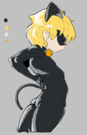 adrien_agreste chat_noir miraculous_ladybug // 1200x1854 // 110KB