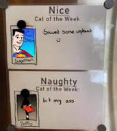 crossovers daffy_duck dc edit kal-el looney_tunes mr._colympus_2025 parody superman // 1298x1457 // 1.3MB