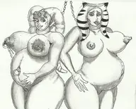 lv1drawgent nude pregnant slave star_wars togruta twi'lek // 1031x830 // 202KB