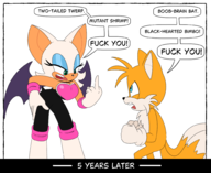 rouge_the_bat sonic_the_hedgehog_(series) tails // 2000x1639 // 602KB