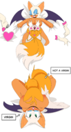 nude rouge_the_bat sonic_the_hedgehog_(series) tails // 1500x2796 // 717KB