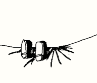 maggie_pesky the_buzz_on_maggie // 301x259 // 2.6KB