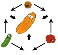 aqua_teen_hunger_force artist:samcarriespartan fusion meatwad orange pickle_rick rick_and_morty rick_sanchez the_annoying_orange // 671x637 // 129KB